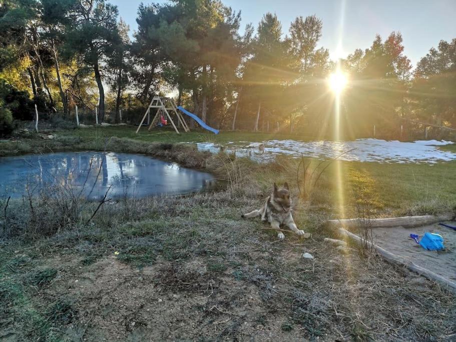 La Portellada Mas Del Olivar מראה חיצוני תמונה